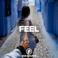 Survive — Feel — обложка